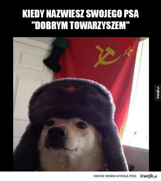 https://i1.kwejk.pl/k/obrazki/2018/01/975cba51fcd346f32571aa4d0bb7d90c.jpg
(When you call your dog a “good comrade”)