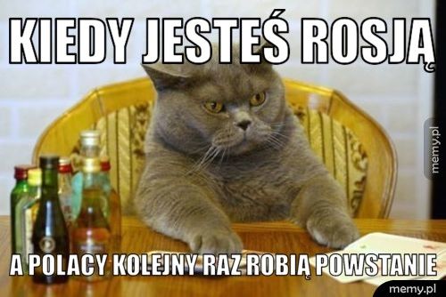 https://memy.pl/show/big/uploads/Post/308632/15827371440520.jpg
(When you’re Russia and Poles decide to rebel once again)