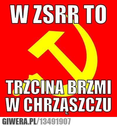 https://icdn.2cda.pl/g/134919_b7297cf133dcee8a643e6d551e0076b1.jpg
(In Soviet Russia reed sounds in beetle)