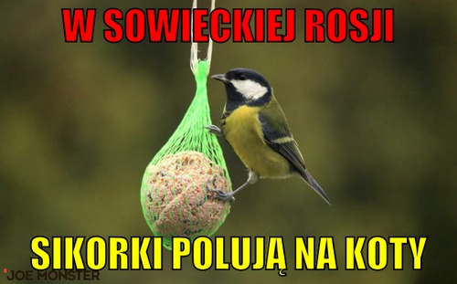 https://pobierak.jeja.pl/images/5/a/0/205747_w-rosji-sowieckiej.jpg
(In Soviet Russia users spy on Windows 10)