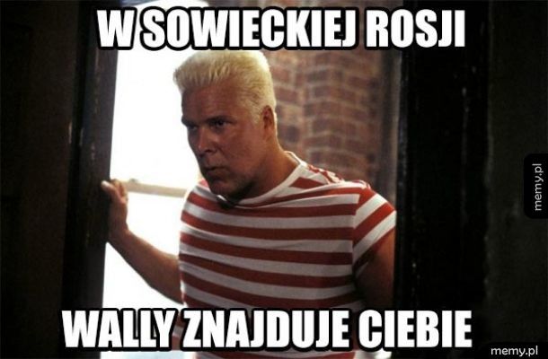 https://memy.pl/show/big/uploads/Post/206778/15248532258520.jpg
(In Soviet Russia Wally finds you)