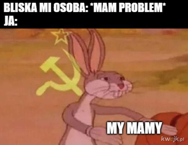 https://i1.kwejk.pl/k/obrazki/2020/09/f5Zp8KlB93uCBGly.jpg
(My close one: I have a problem. Me: WE do.)