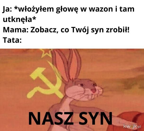 https://i1.kwejk.pl/k/obrazki/2020/07/ONh8TIDI0PTrxmc9.jpg
(Me: I put a vase on my head. Mom: Look what your son has done. Dad: OUR son)